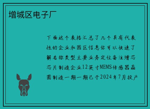 增城区电子厂